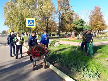 Посадка роз